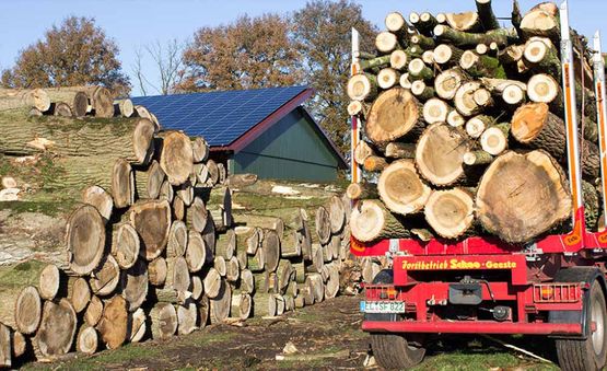Übernahme von Holz - Forstbetrieb Matthias Schoo aus Geeste