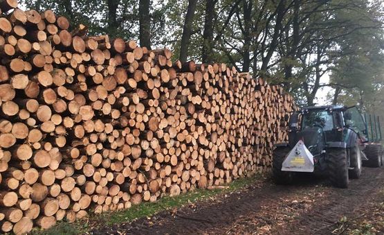 Übernahme von Holz - Forstbetrieb Matthias Schoo aus Geeste